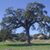 Pamela D. Childers-Kingsley's profile image