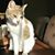 Jill Roth McAlpine's profile image