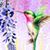 Patricia Fasnacht's profile image