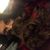 Jamie L Mil Sal's profile image