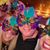 Donna Piciocchi's profile image