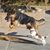 Tanya F. Yarbrough's profile image