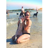 Ashley Davis's profile image
