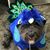Colleen Dougherty's profile image