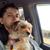 Bruce Rockwood's profile image