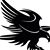 Tim Verdone's profile image