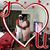 Augie Reed's profile image
