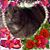 Kathy Hughes Simmons's profile image