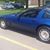 Gordon Beukema's profile image
