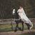 Rebecca Maurice's profile image