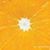 BaBi Babi's profile image