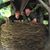 Patti Grandolfo's profile image