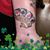 Trudi Foncree's profile image