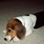 Mary Kathryn Sneed's profile image
