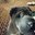 Wendy Anderson's profile image