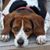 Connie Burch's profile image