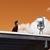 Gordon Benett's profile image