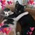 RonPam Olson's profile image