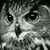 Moyra Murrieta's profile image