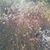 Nachum Erlich's profile image