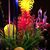Sandra McMurtrey's profile image