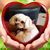 Sandy Jean Simpson's profile image