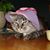 Kathy Bergeron's profile image