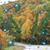 Patty Guthrie Wehling's profile image