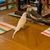 Bettina Smith's profile image