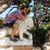 Francesco Sanni's profile image
