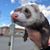 Sara Rodriguez Williams's profile image