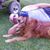 Donna Finn's profile image