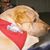 Jackie L. Ross's profile image