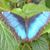 Linda Brower's profile image