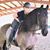 Tane Mcclure Arendts's profile image