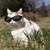 Nick Umgelder's profile image