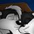 Tanya Kasper LE's profile image