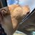 Kiley Conley-Chamberlain's profile image