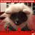 Sue Ditmore Horita's profile image