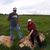 Beth Thompson Kray's profile image