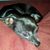 Daniel Richardson's profile image