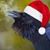 John Reindel's profile image