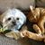 Brenda Seaver's profile image