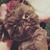 Cassie Turnbow's profile image