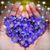 Nicola Hopkins's profile image
