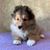 Pam Cramer's profile image