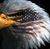 Bob Scherrer's profile image