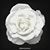 Debbie Scribner's profile image
