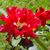 Tracey L. Martin's profile image