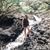 Allison Miller Brooks's profile image